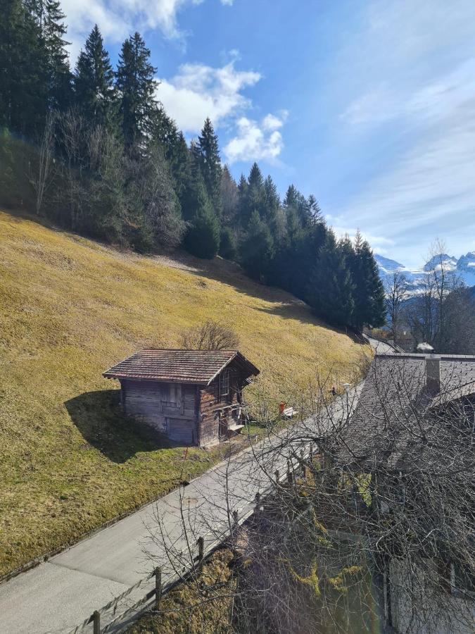 Traditional Chalet In Wengen - Top Floor Apartment ภายนอก รูปภาพ