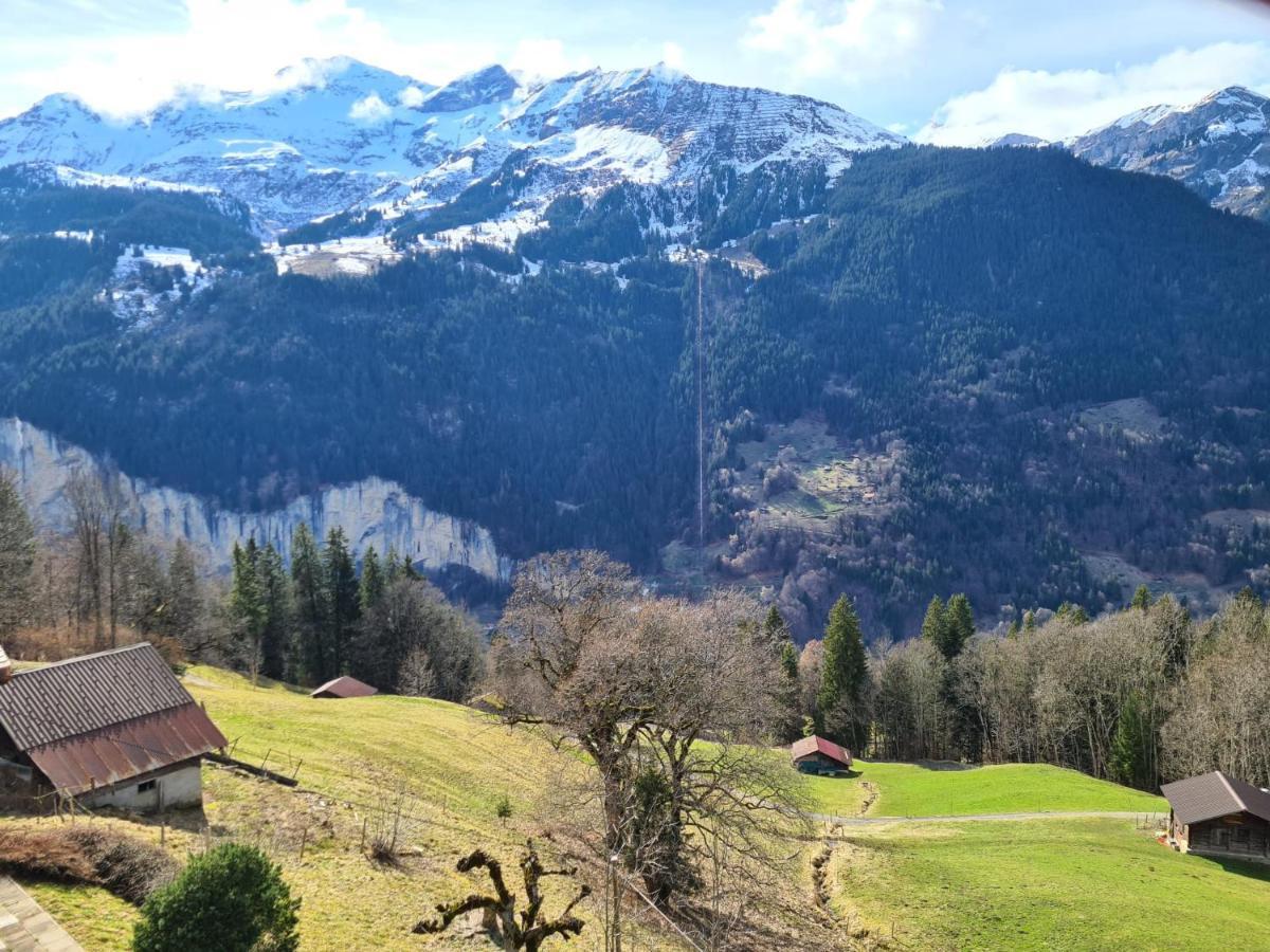 Traditional Chalet In Wengen - Top Floor Apartment ภายนอก รูปภาพ